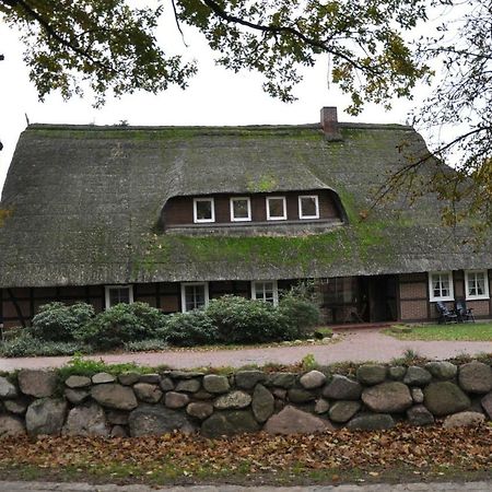 Appartamento Reit- Und Bauernhof Klaucke Trebel Esterno foto